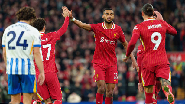 能的较量 能的较量