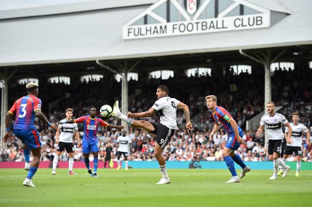 展同等重要 展同等重要